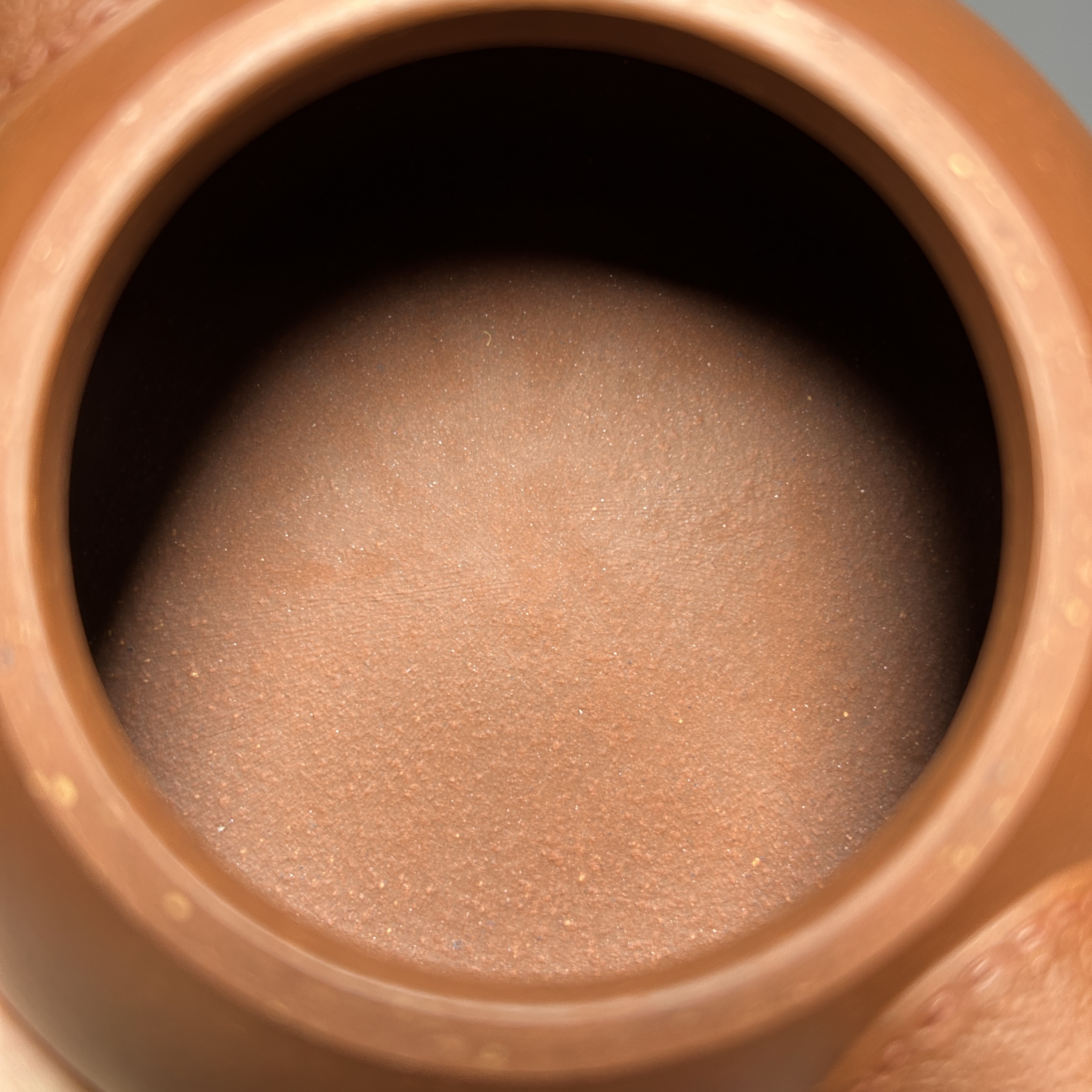 Leather-Textured Shipiao Teapot - 300CC Yixing Purple Clay, Handcrafted Traditional Chinese Kung Fu Tea Pot