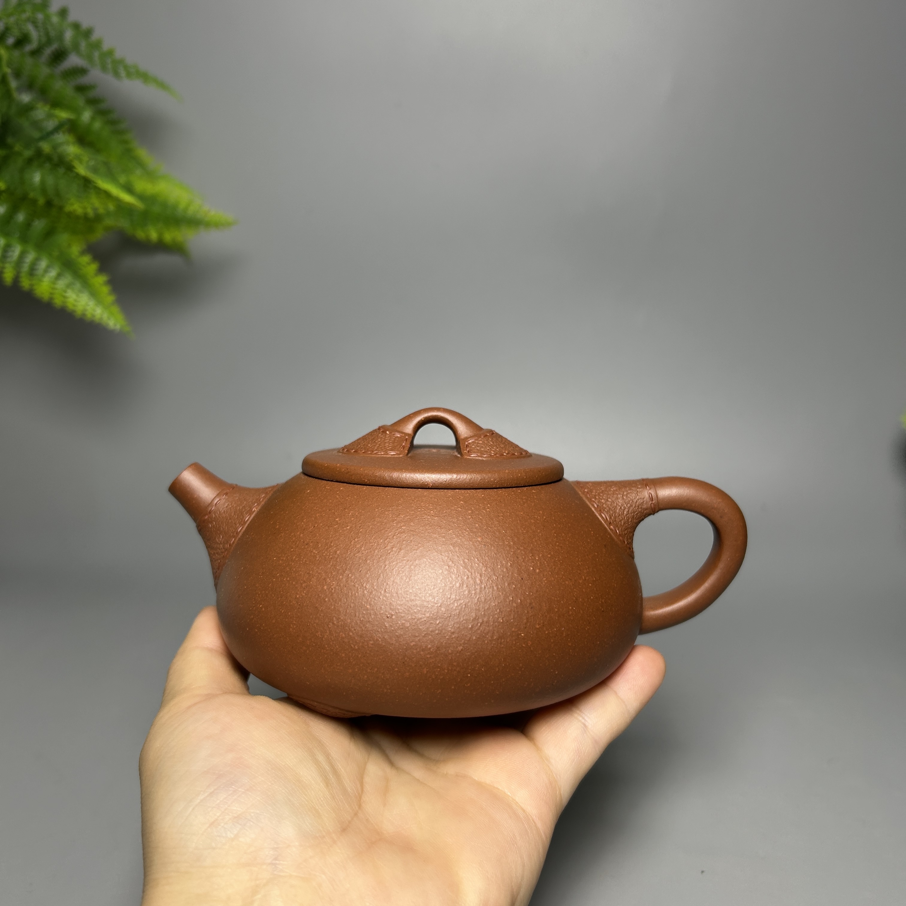 Leather-Textured Shipiao Teapot - 300CC Yixing Purple Clay, Handcrafted Traditional Chinese Kung Fu Tea Pot