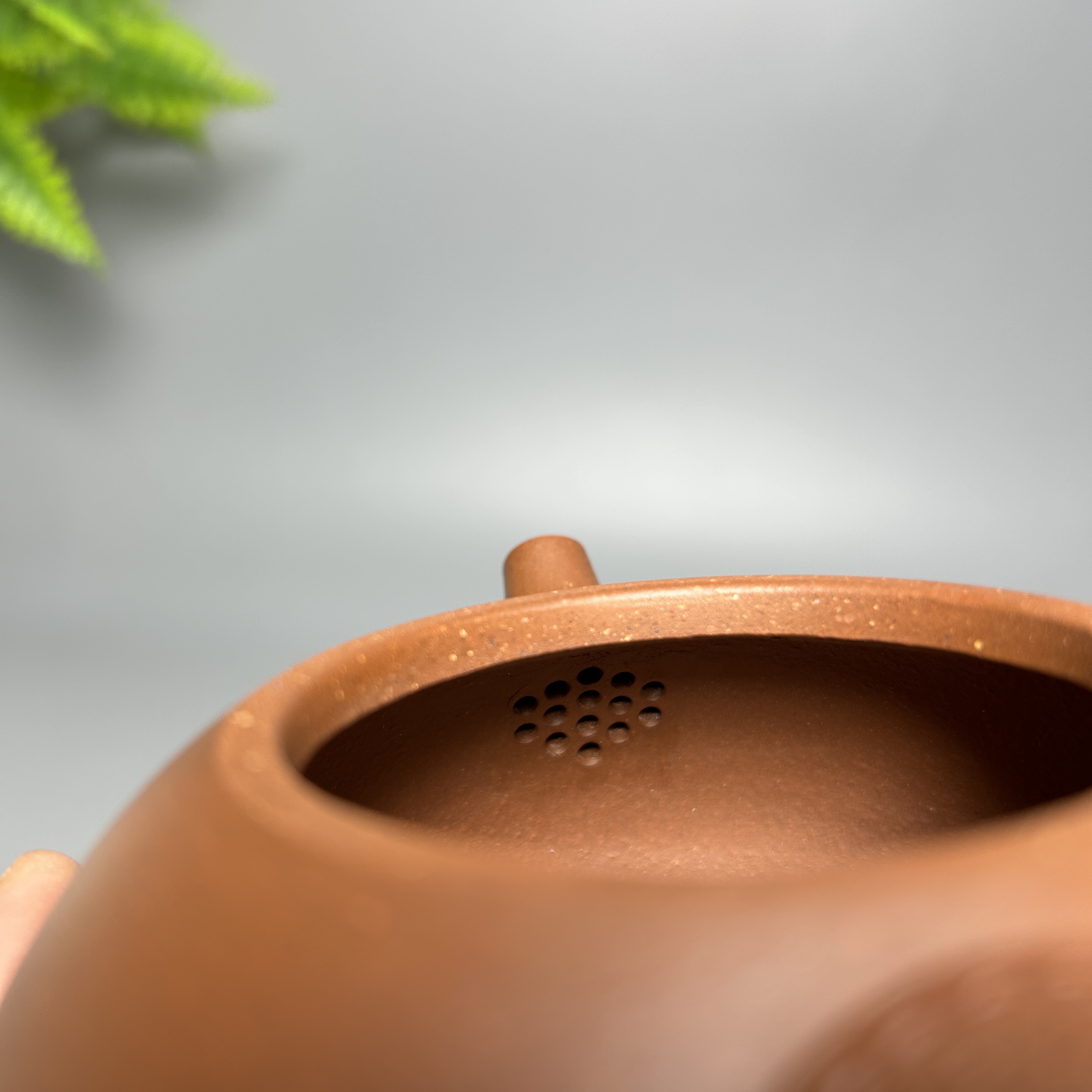 Leather-Textured Shipiao Teapot - 300CC Yixing Purple Clay, Handcrafted Traditional Chinese Kung Fu Tea Pot