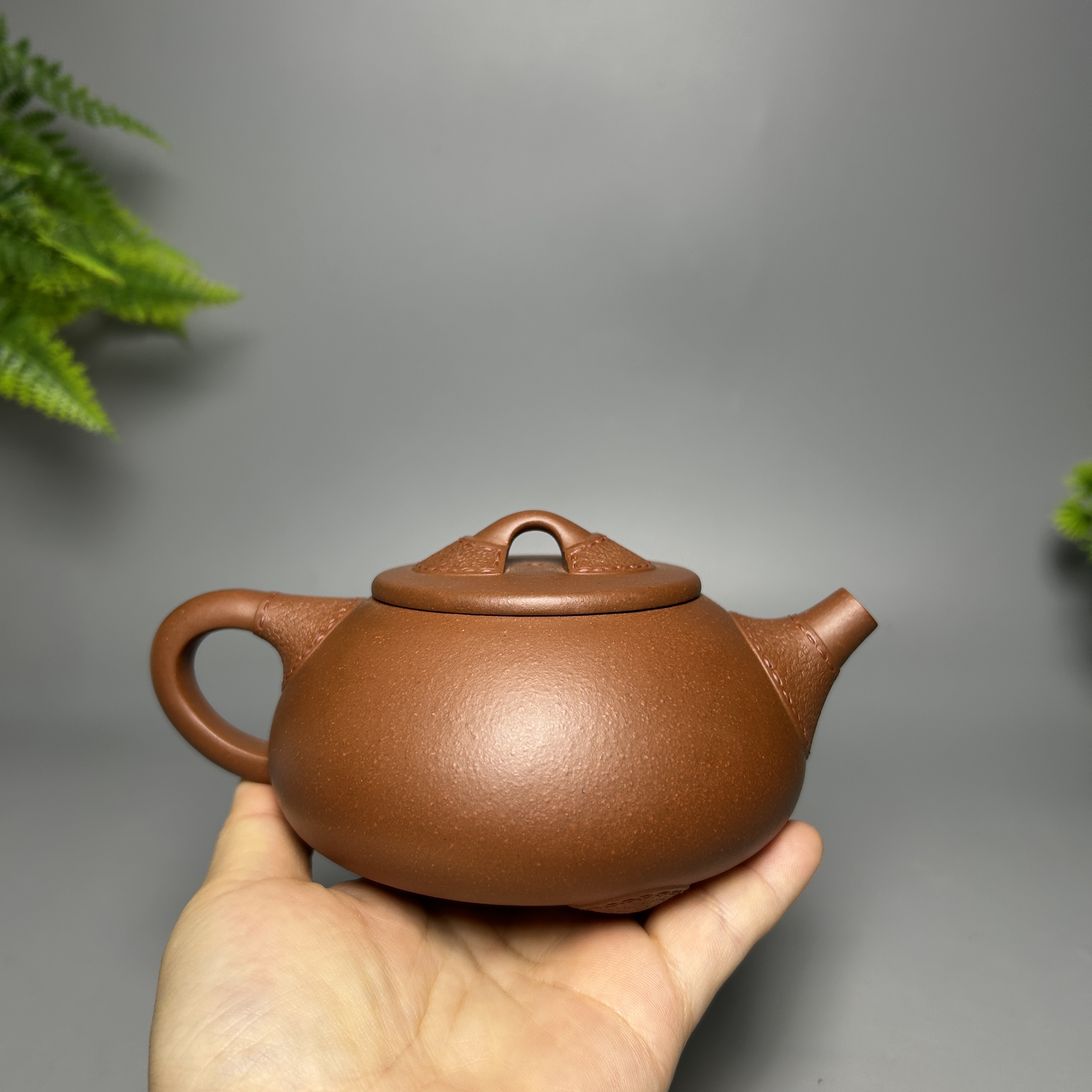 Leather-Textured Shipiao Teapot - 300CC Yixing Purple Clay, Handcrafted Traditional Chinese Kung Fu Tea Pot