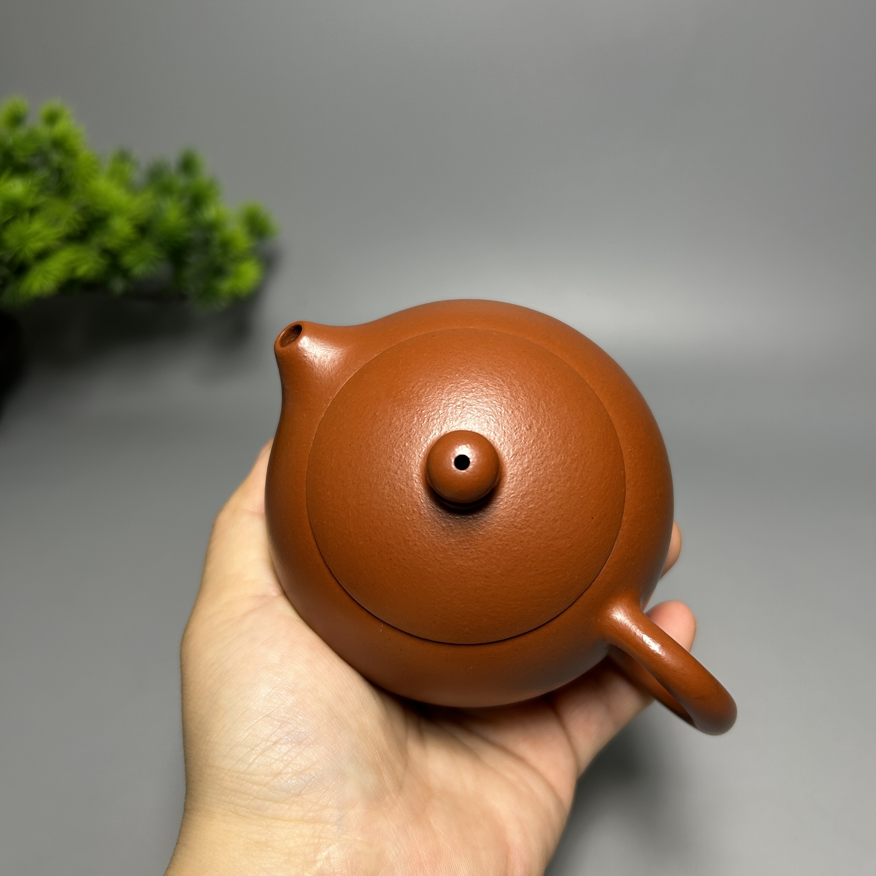 Xishi Teapot - 200CC Xiaomeiyao Zhuni (Cinnabar Clay), Fully Handmade Yixing Kung Fu Tea Pot