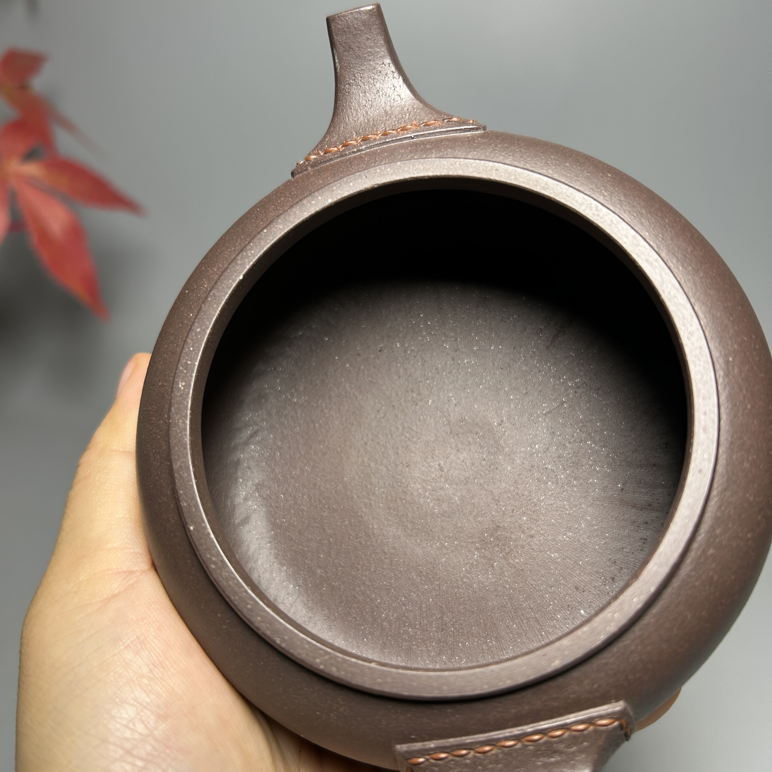 Leather-Textured Shipiao Teapot - 300CC Yixing Zini (Purple Clay), Handcrafted Traditional Kung Fu Tea Pot