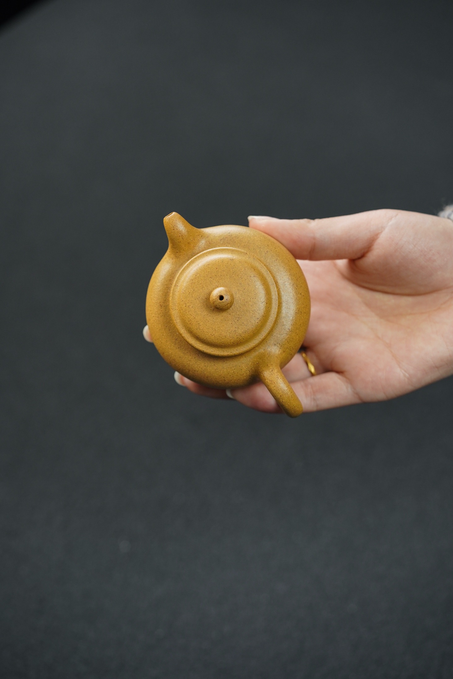 Mini Duozhi Teapot – Affordable Artisan Piece for Tea Enthusiasts (100cc)