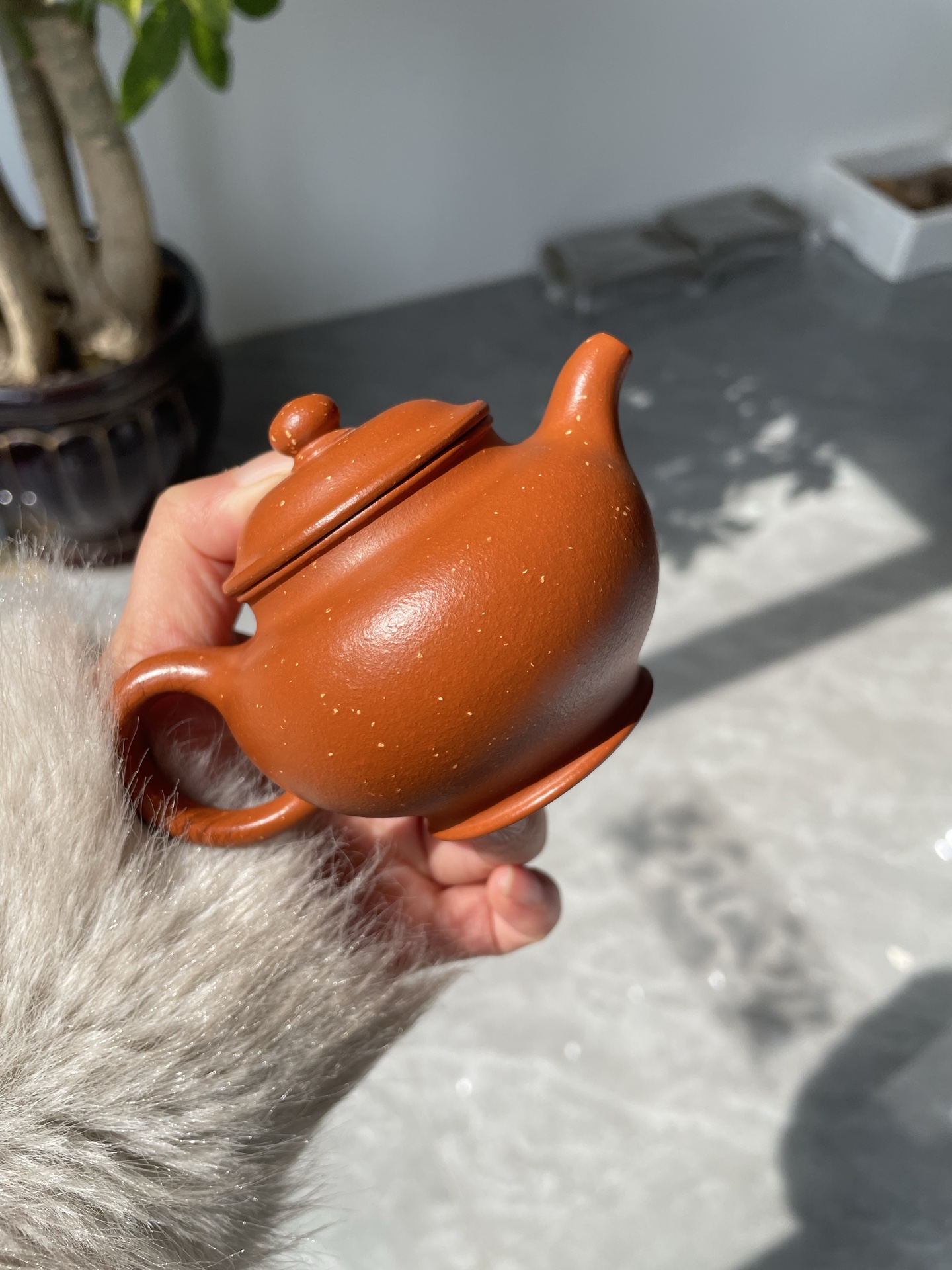 Mini Duozhi Teapot – Heritage-Inspired Design in Premium Zhu Clay (150cc)