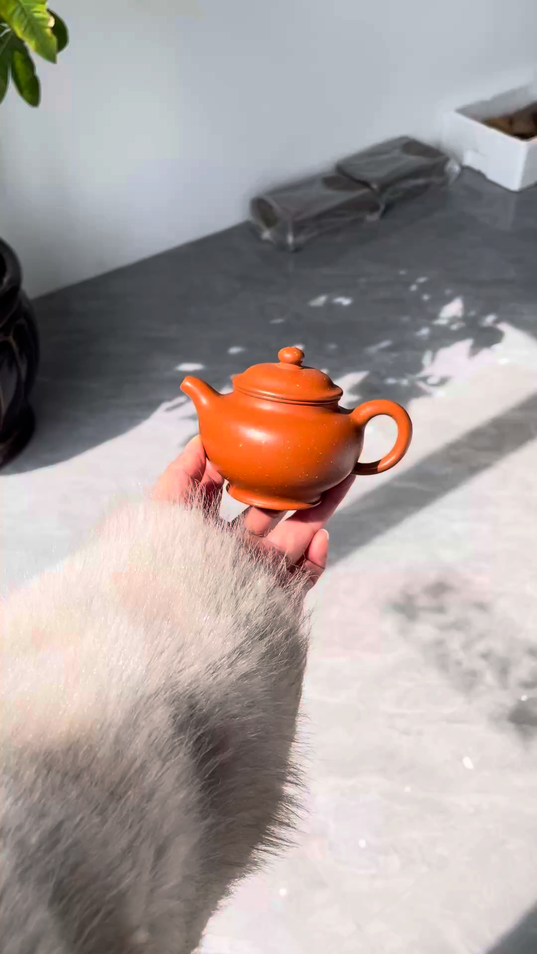 Mini Duozhi Teapot – Heritage-Inspired Design in Premium Zhu Clay (150cc)