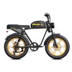 HOthtVSCO™ HothtvGtrs 1500W Moped-style Electric Bike