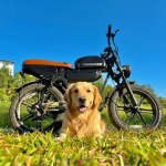 HOthtVSCO™ HothtvGtrs 1500W Moped-style Electric Bike