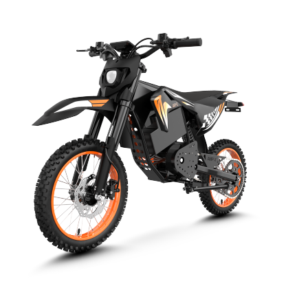 Lethtonx®X1 AMthtP Dirt Ebike
