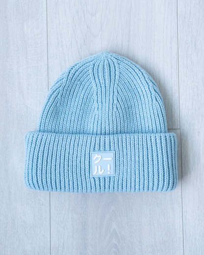  Cool Beanie 2.0-Coordom