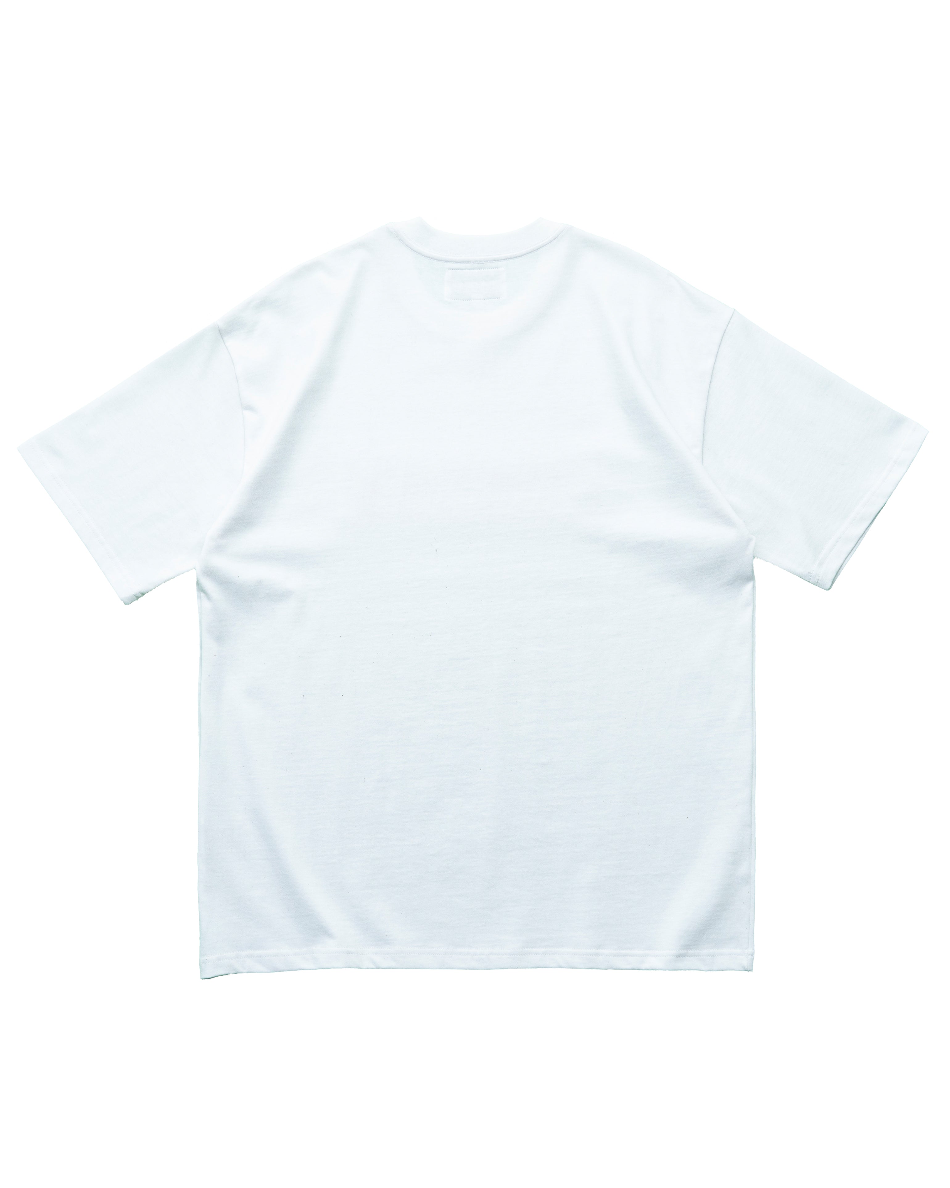 BLAZE Tapestry Patch T-Coordom