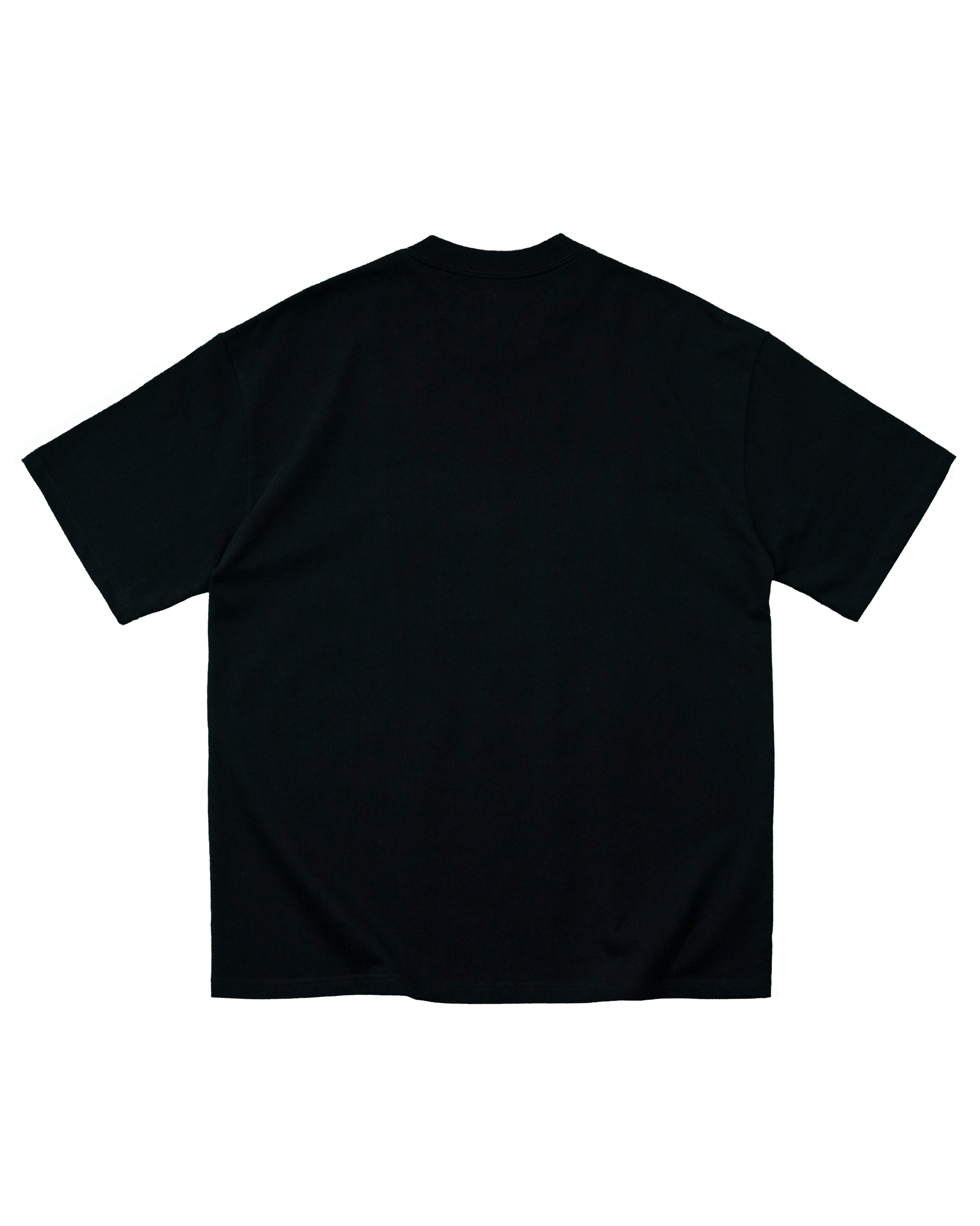 BLAZE Tapestry Patch T-Coordom