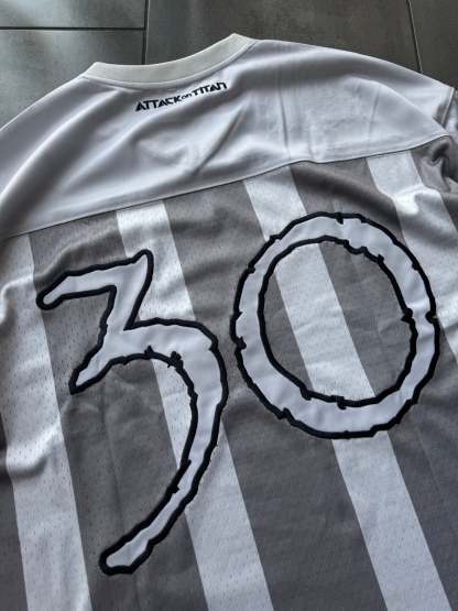 AOT JERSEY GREY-Coordom