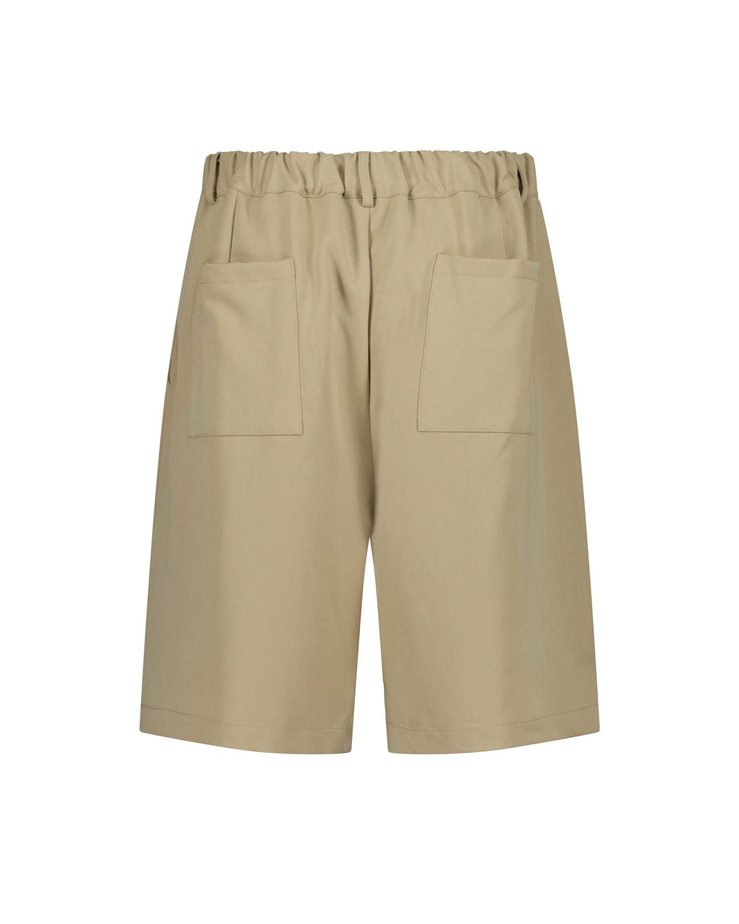 PLEATED SHORTS-Coordom