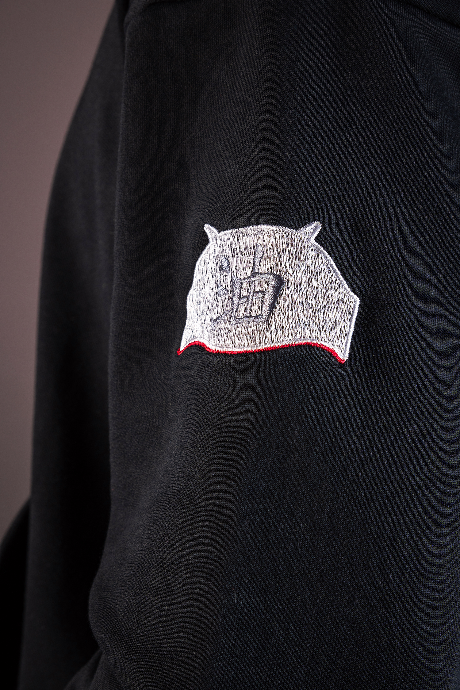 Swamp Sage Hoodie-Coordom