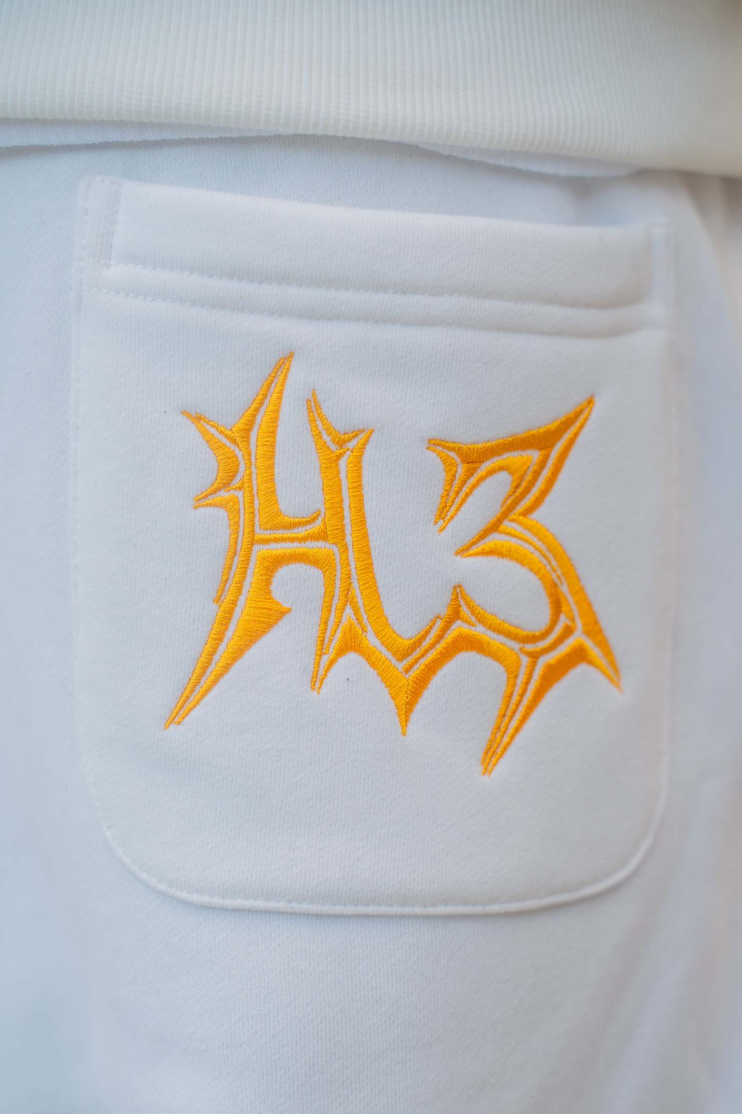  "Ice Ryu" Sweatpants-Coordom