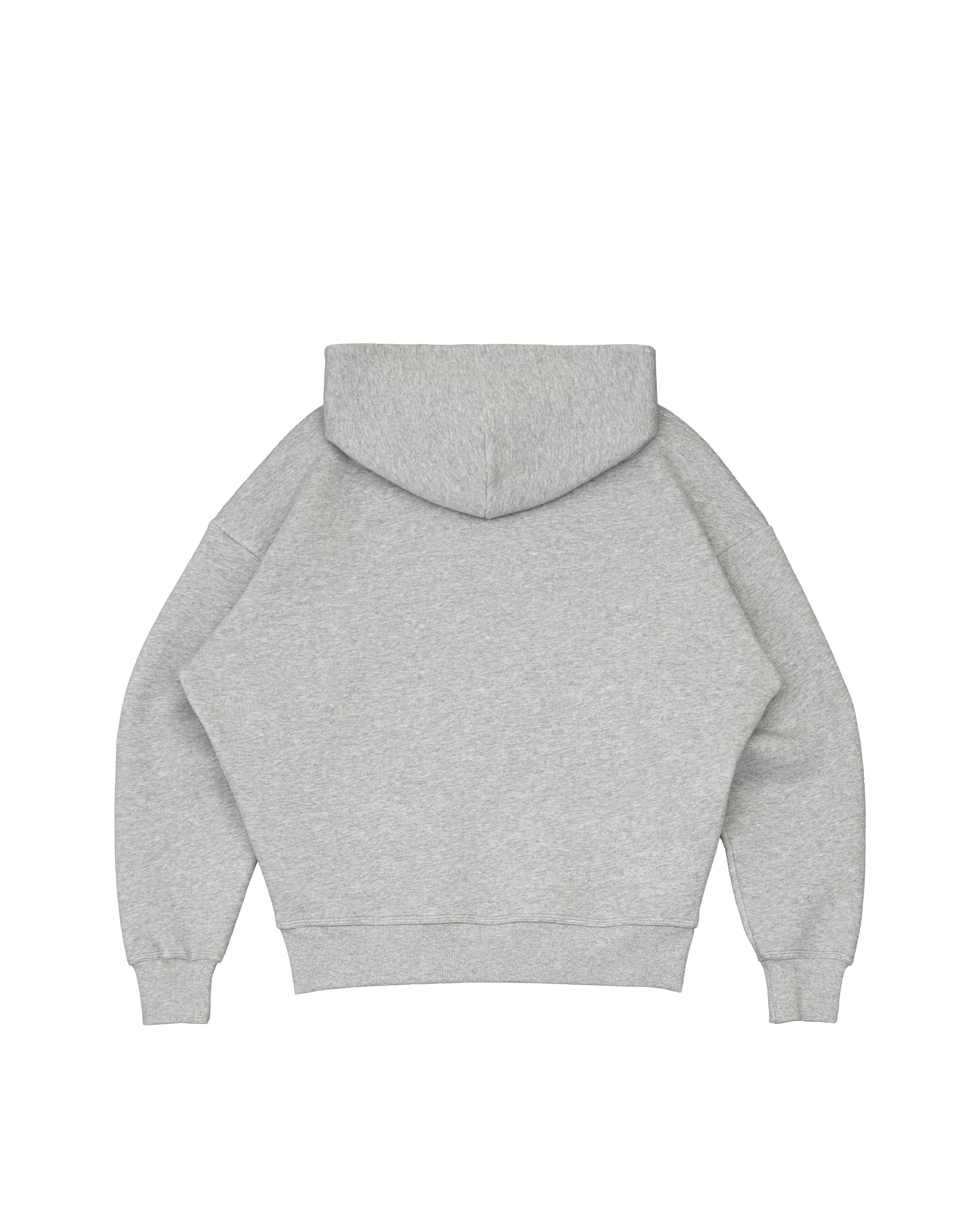Disc Hoodie Grey [630GSM]|Streetwear Oversized Vintage Casual Wear-Coordom