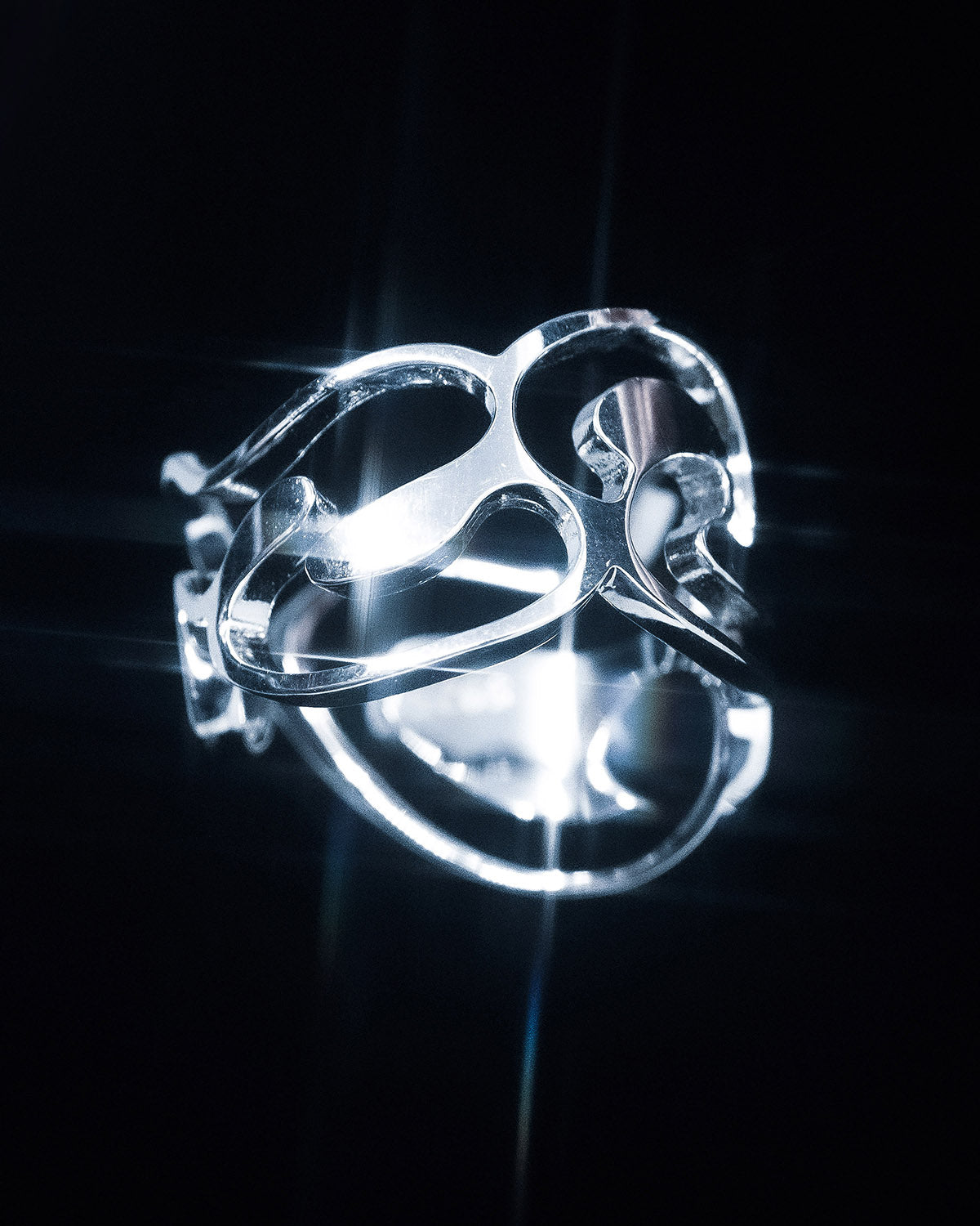  Liquid Ring-Coordom