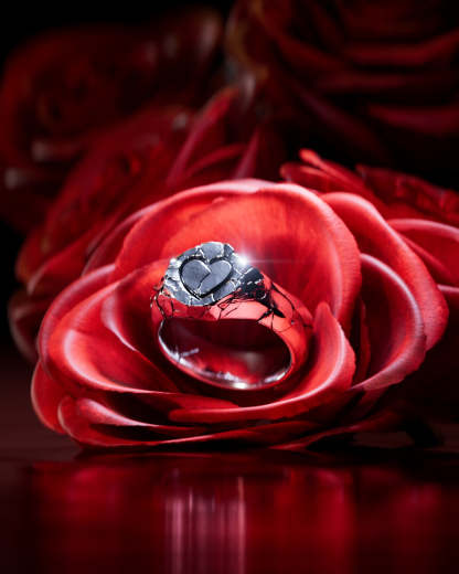  Heartbreak Ring-Coordom