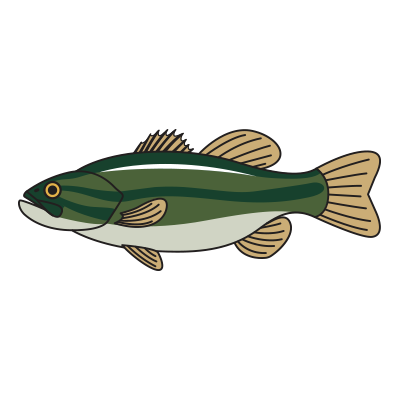  Fishing Cap-Coordom