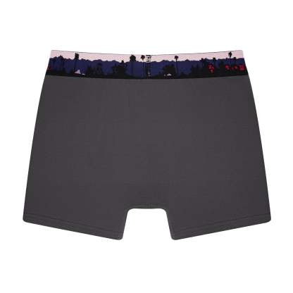"sunset" boxer-Coordom