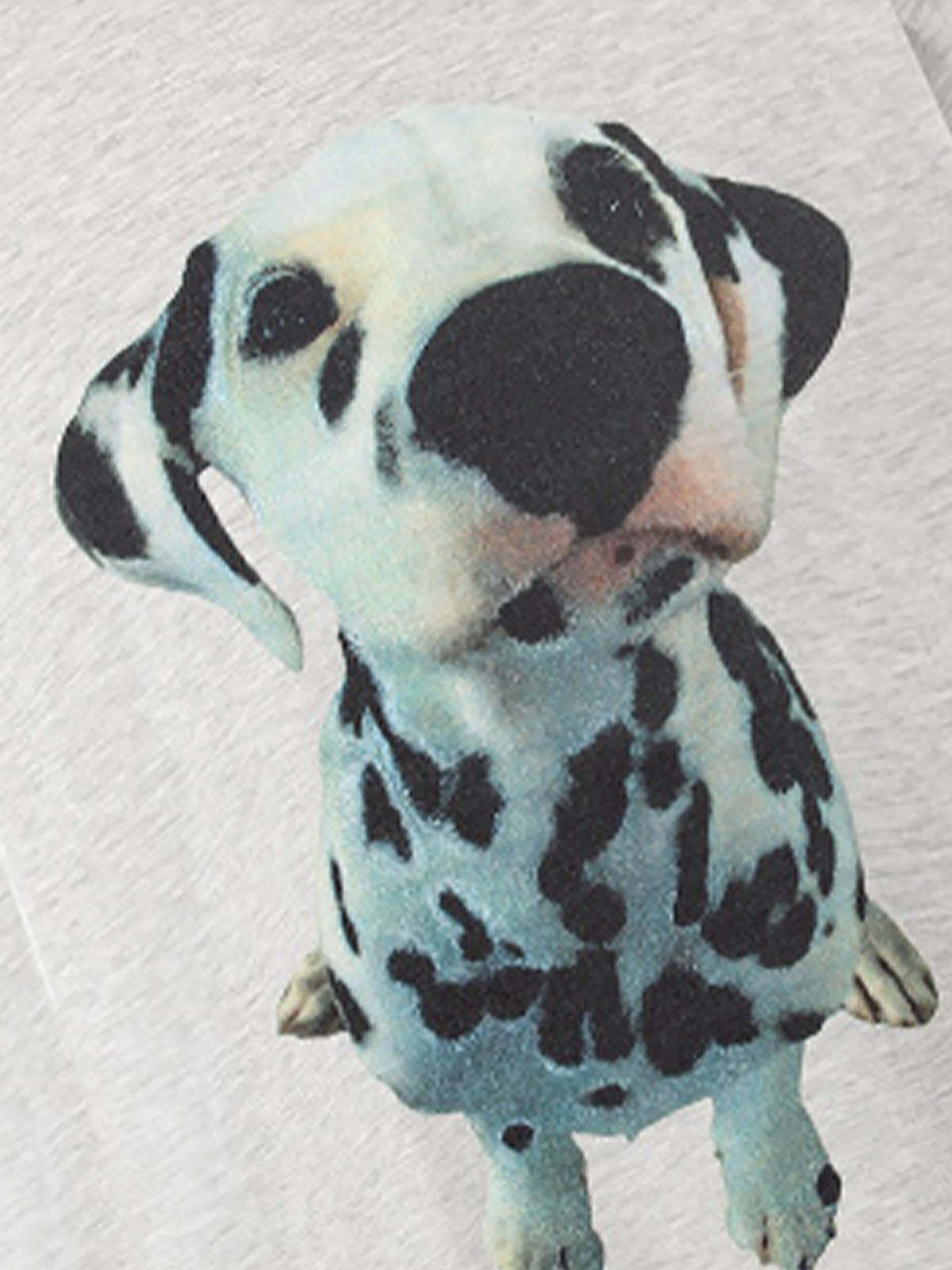 Dalmatian Graphic T-Shirt-Coordom