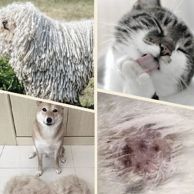 Double sided pet grooming brush