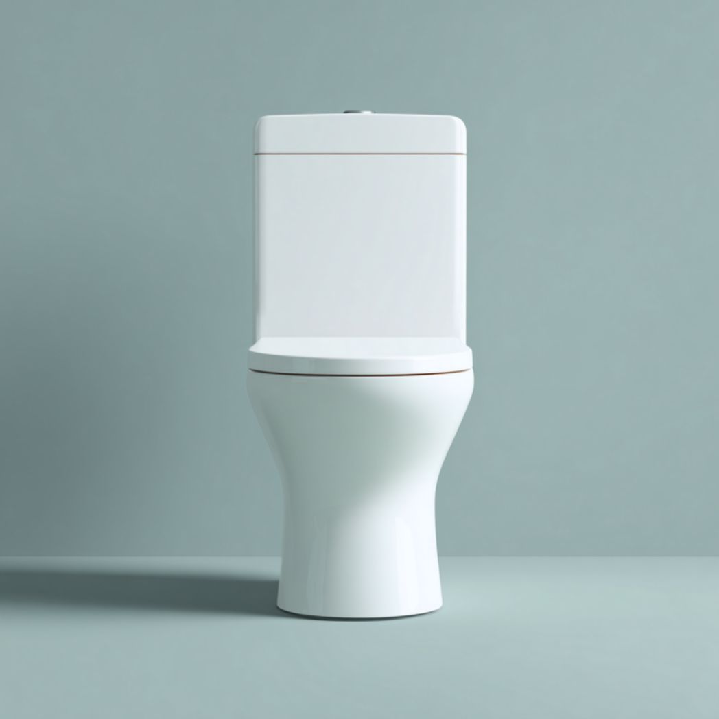 Toilette à cuve en céramique, abattant inclus-Darranfurniture