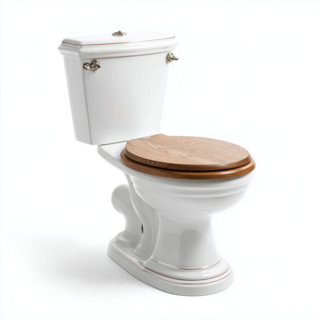 Toilette en céramique avec réservoir haut et siège en bois-Izpkafurniture