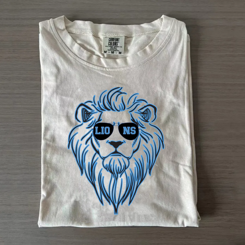 Detroit Football T-shirt/Sweatshirt