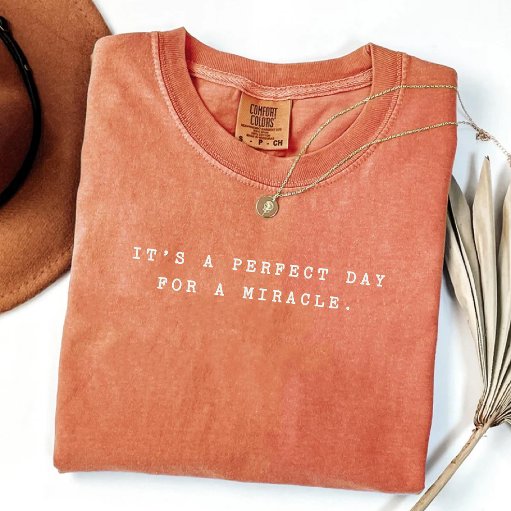 Comfort Colors It's A Perfect Day For A Miracle T-Shirt
