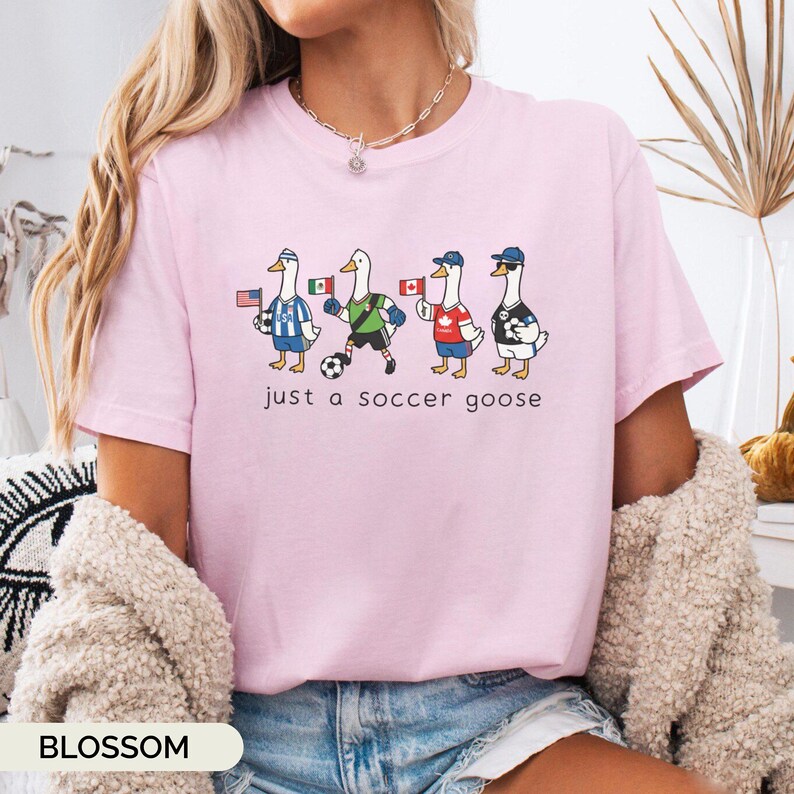 Soccer 2026 Silly Goose Tee, 2026 World Cup Shirt