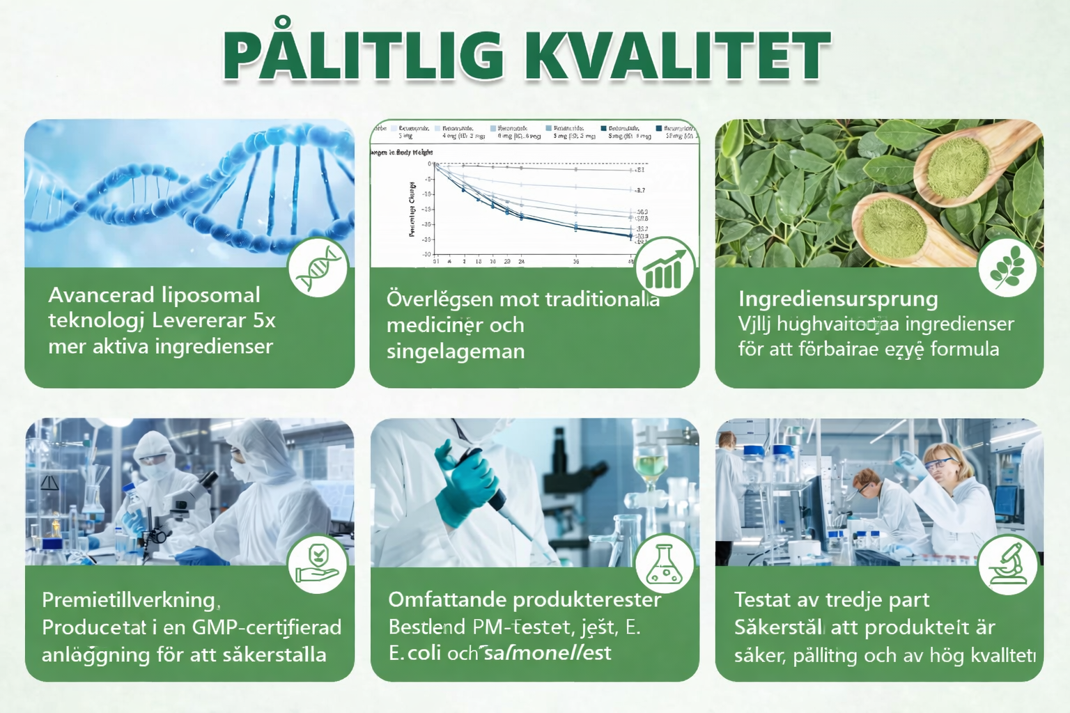 Moringa × Berberine × AMPK 8-Benefit Slimming & Metabolic Nano Microneedle Patch | Daily support for metabolism and heart health