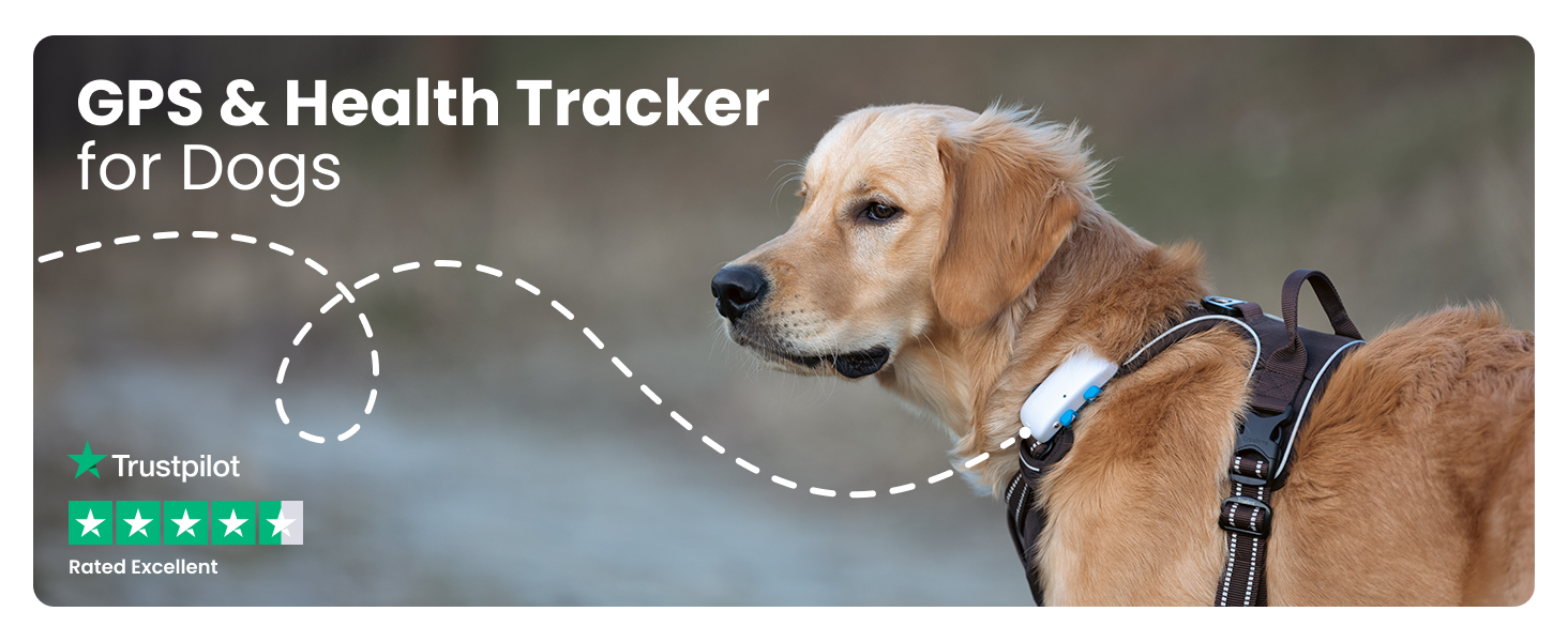 GPS &amp;amp; Health Tracker for Dogs