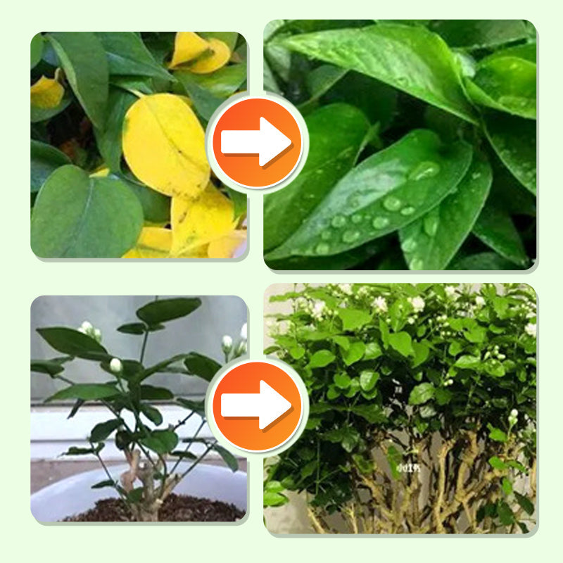 Långsamt Frigörande Växt Gödselpinnar