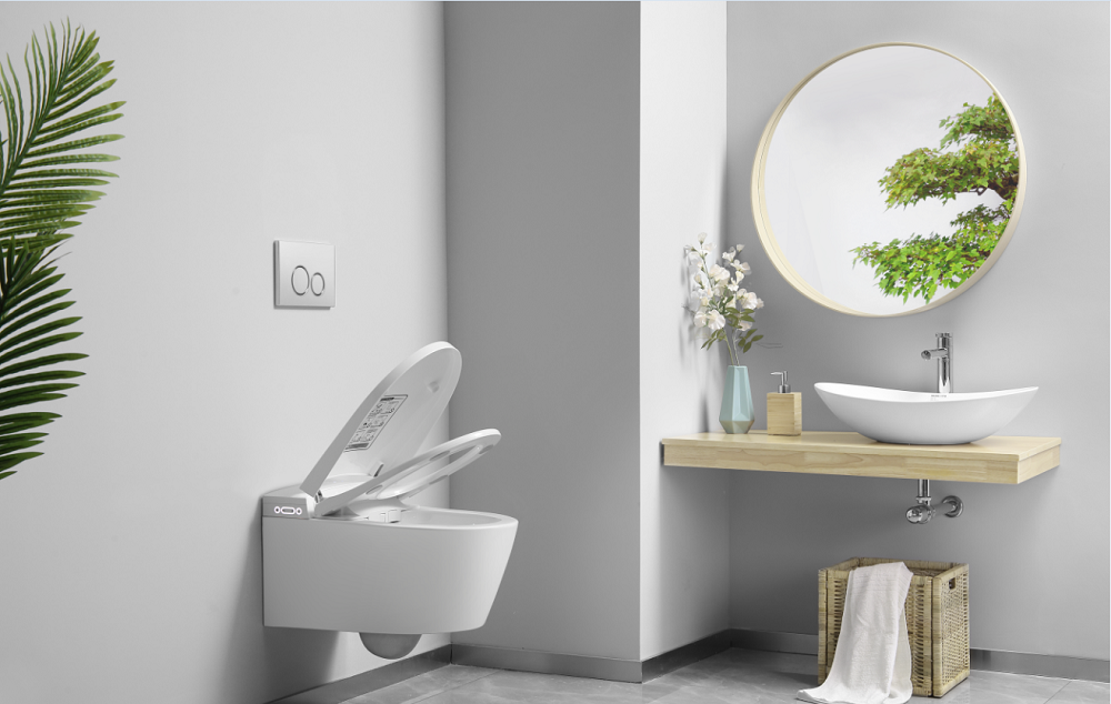 toilette japon suspendue