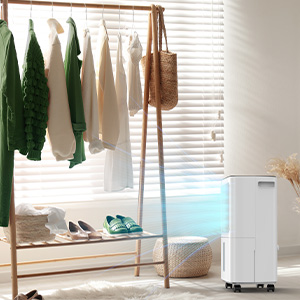 Deumidificatore per la casa