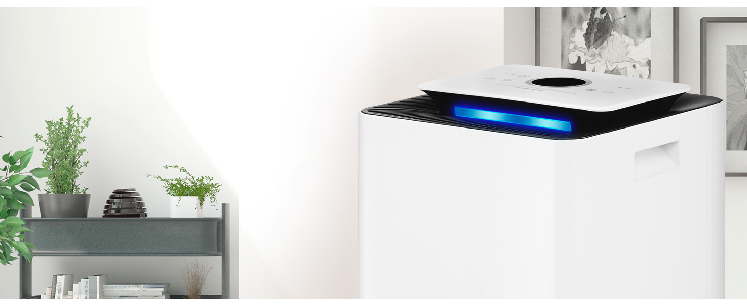 Deumidificatore Ufesa DH5020