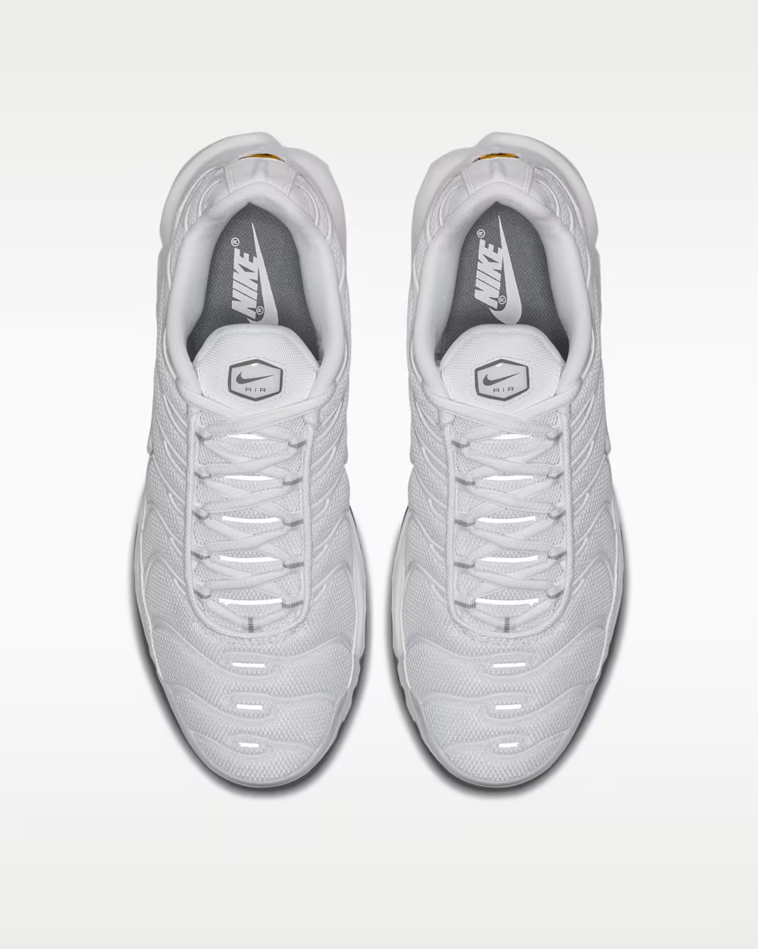 Nittgke Air Max Plus Men's Shoes