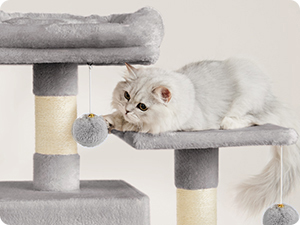 Multi-level cat tree with platforms and scratching posts. White cat resting on top platform.