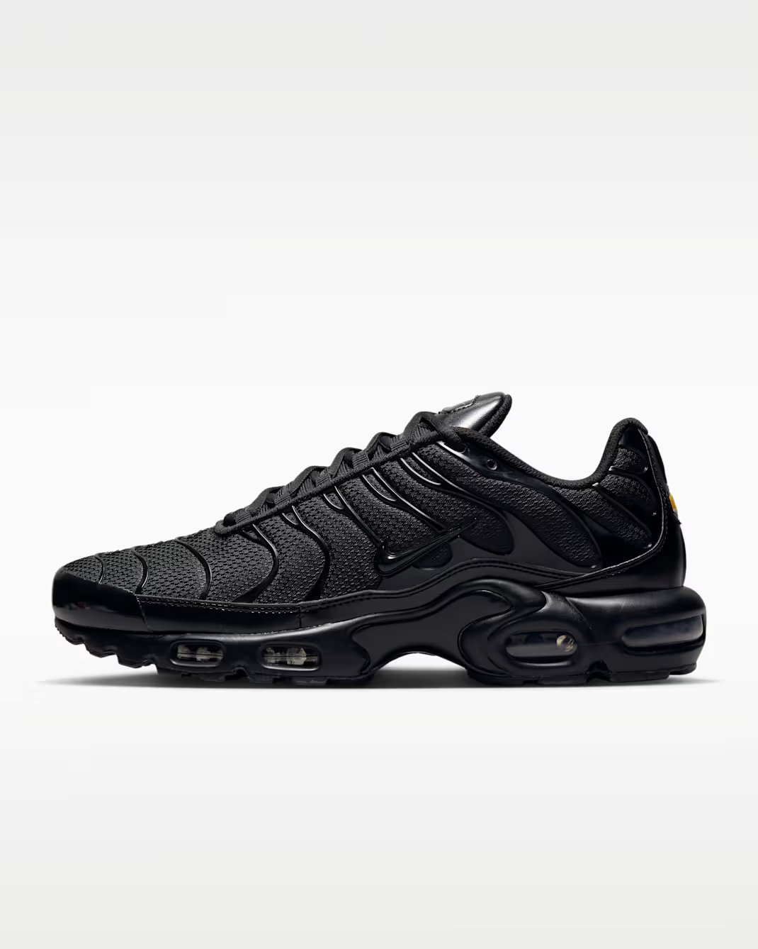 Nittgke Air Max Plus Men's Shoes