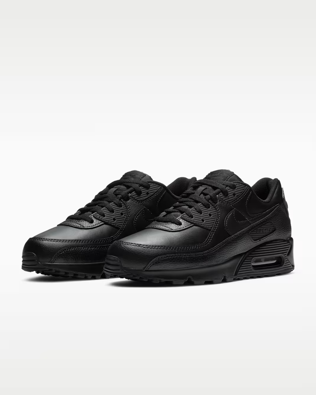 Air Max 90 LTR Men's Shoes