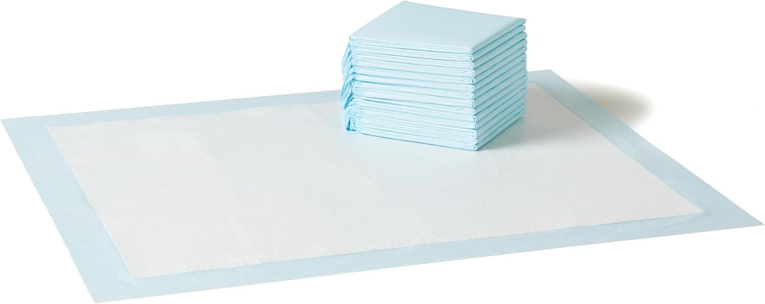 Amazon Basics Leak-Proof Dog and Puppy Potty Training Pee Pads with Quick-Dry 5-Layer Super Absorbent Design, Regular Size 22 x 22 inch, Blue & White, 100 Count