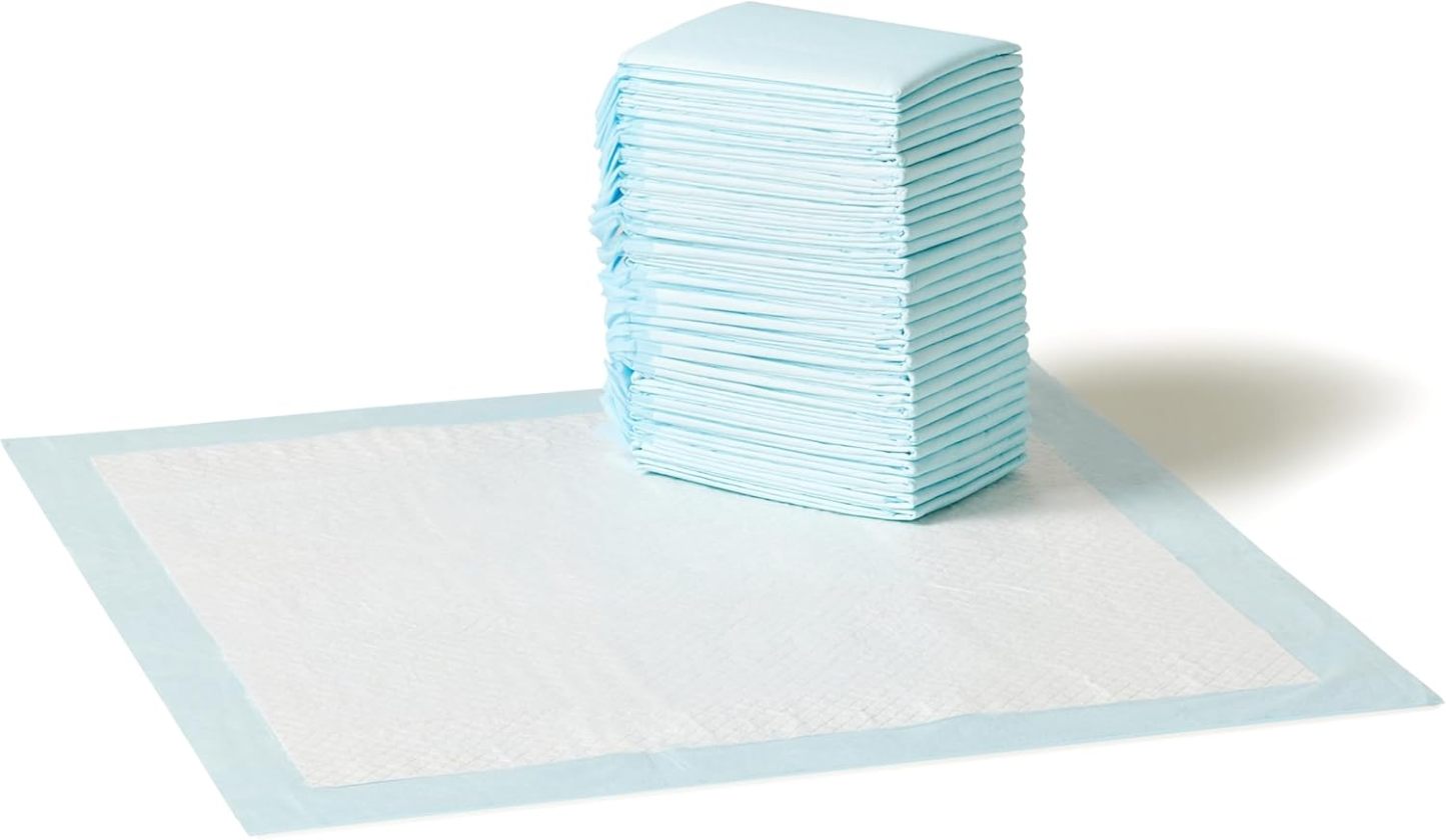 Amazon Basics Leak-Proof Dog and Puppy Potty Training Pee Pads with Quick-Dry 5-Layer Super Absorbent Design, Regular Size 22 x 22 inch, Blue & White, 100 Count