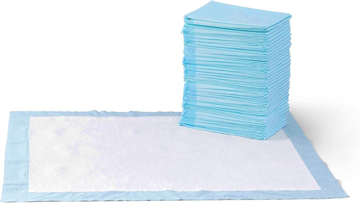 Amazon Basics Leak-Proof Dog and Puppy Potty Training Pee Pads with Quick-Dry 5-Layer Super Absorbent Design, Regular Size 22 x 22 inch, Blue & White, 100 Count