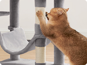 Orange cat interacting with a grey and white cat tree structure, reaching up to touch a curved section of the tree.