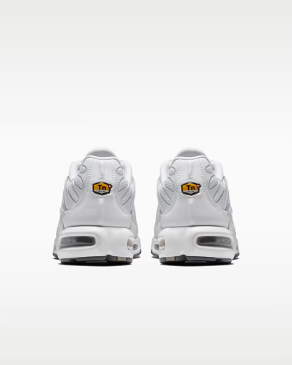 Nittgke Air Max Plus Men's Shoes