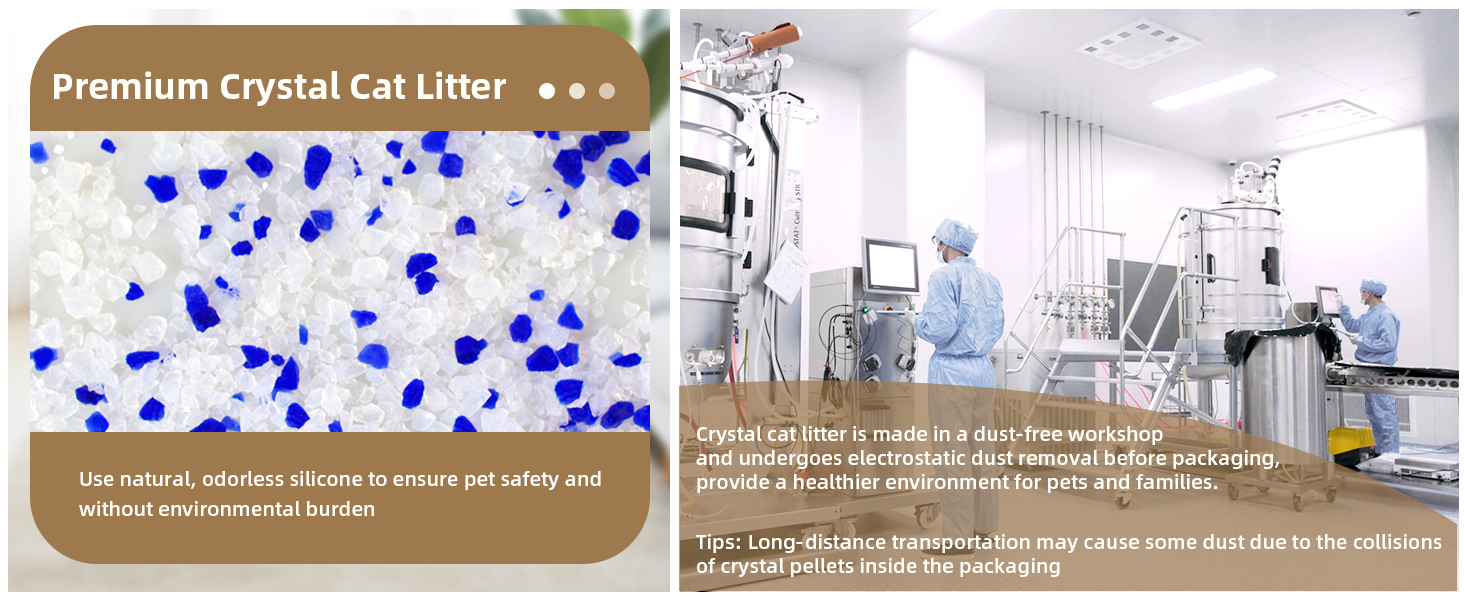 cat litter for apartment multi cat household kitten senior sensitive pet lightweight