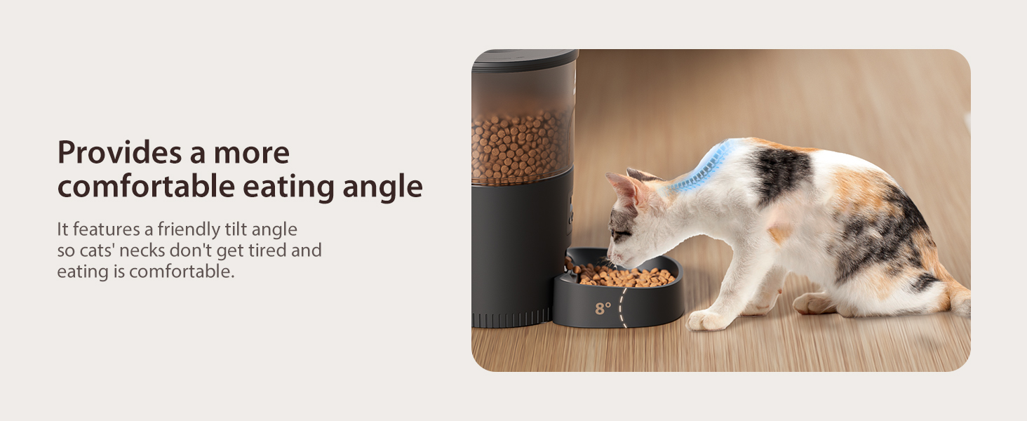 Verhoogde voerbak voor huisdieren met kattenvoer. De zwarte container bevat voedsel boven een schuine schaal. De tekst benadrukt de comfortabele eethoek voor katten.