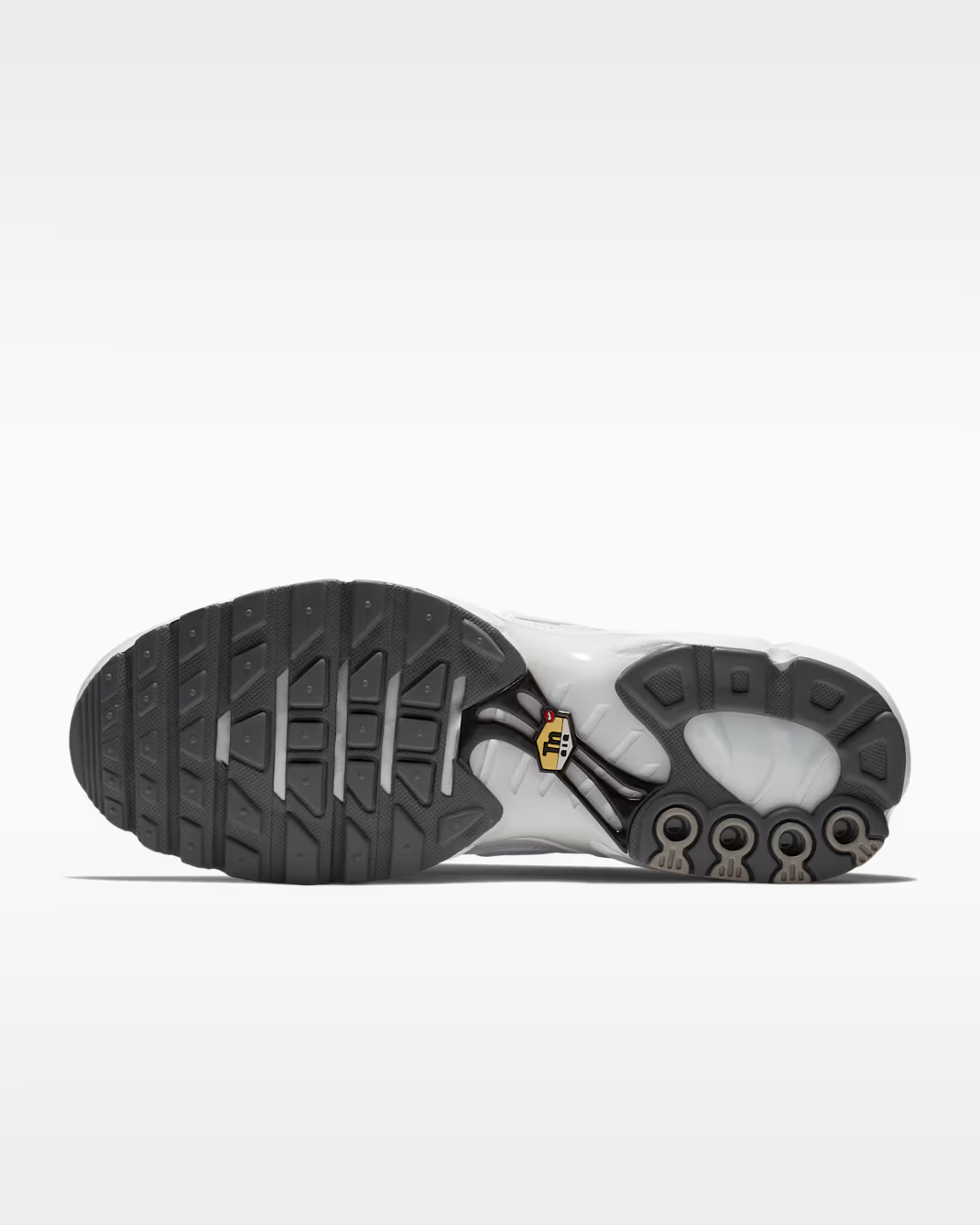 Nittgke Air Max Plus Men's Shoes