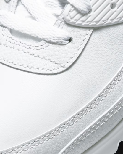 Air Max 90 LTR Men's Shoes